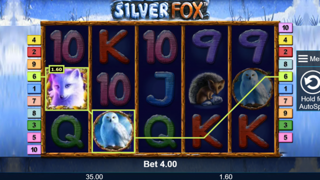 Бонусная игра Silver Fox 7